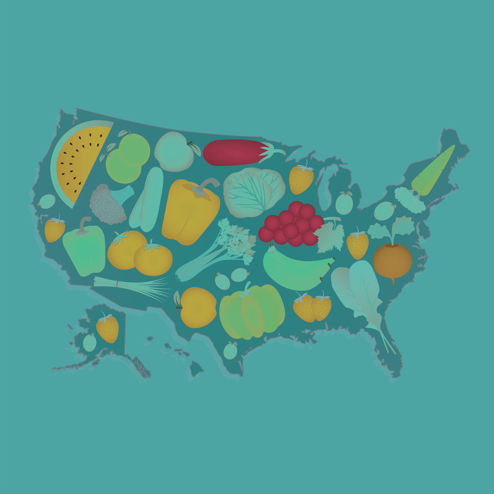 Map of United States full of fruits and vegetables (tomato , apple, orange , eggplant, cabbage, cucumber , broccoli, grapes, arugula, banana, peppers, squash , celery, green onions , beets, strawberries, watermelon, carrot). Green background.