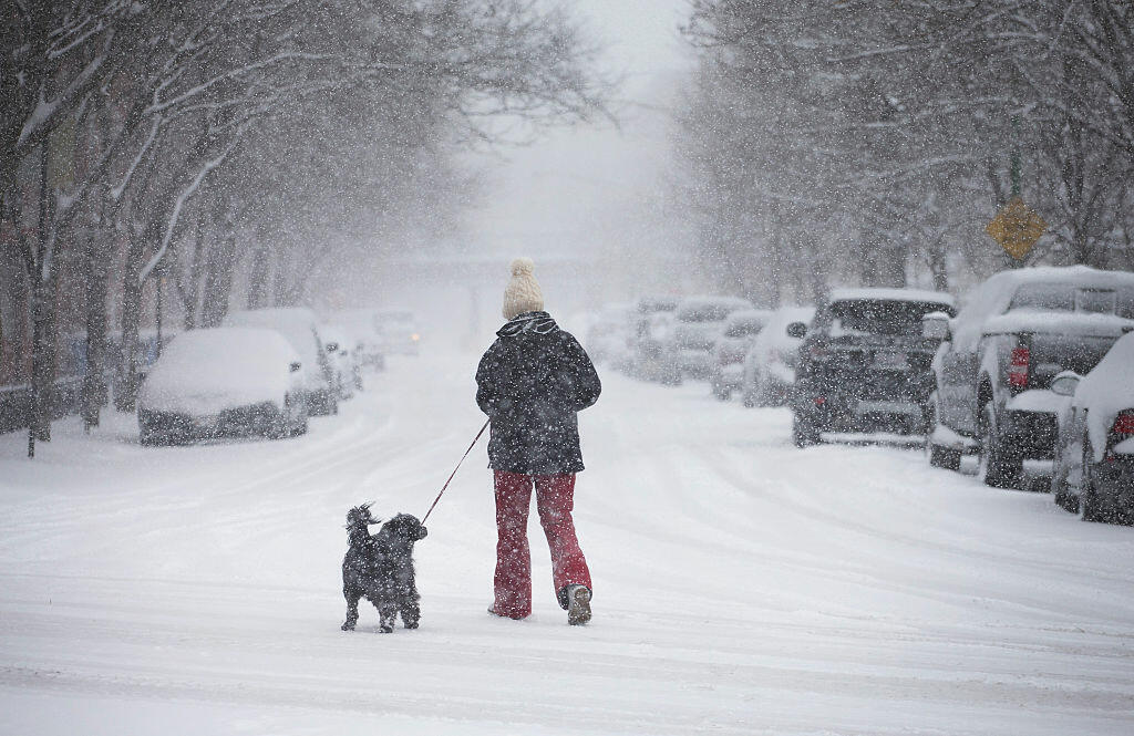 CHICAGO, IL - MARCH 23:  A person walks a dog along a snow-covered street as a spring storm passes through the area on March 23, 2015 in Chicago, Illinois. Some areas in and around Chicago have received more than six inches of snow from the storm.  (Photo by Scott Olson/Getty Images)