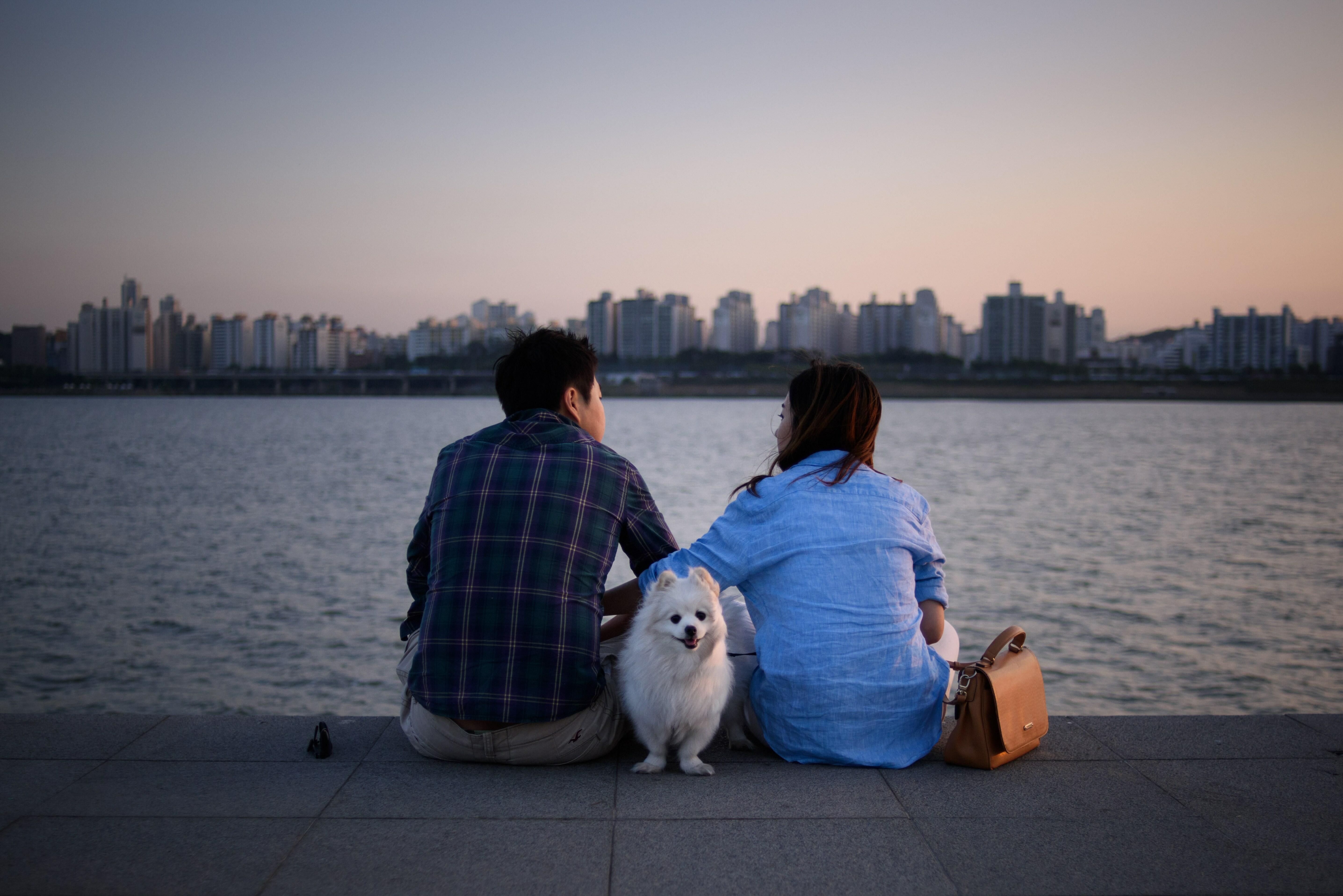 A dog stands between a couple as they sit before the Han river in Seoul on September 20, 2015.  The Han river intersects Seoul from East to West and is lined with parks and walkways making the waterway a popular leisure area throughout the year.  AFP PHOT