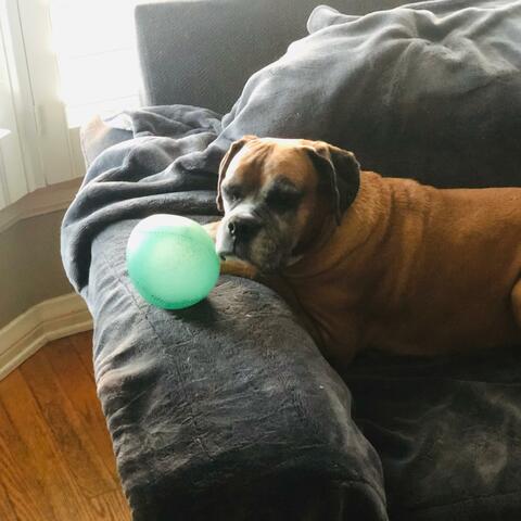 Background Thumbnail