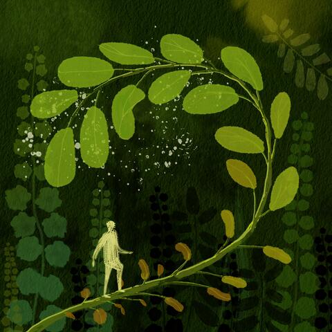 Background Thumbnail