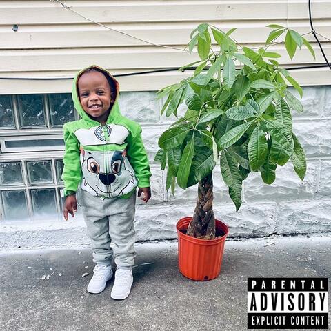 Background Thumbnail