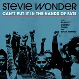 Can't Put It In The Hands Of Fate artwork