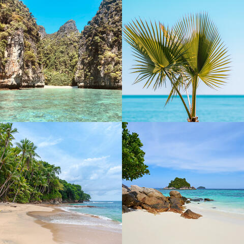 Background Thumbnail