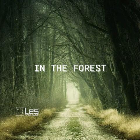 Lesfm - In The Forest (Acoustic Indie No Copyright) | iHeart