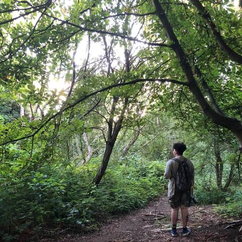 Background Thumbnail