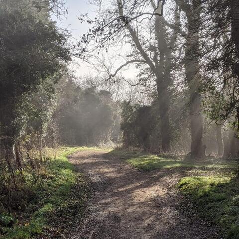 Background Thumbnail