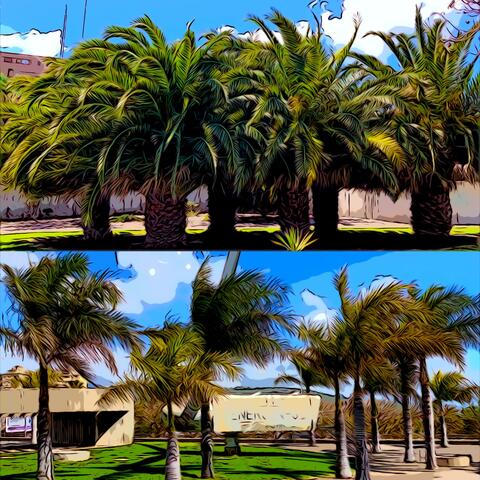 Background Thumbnail