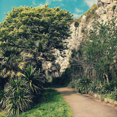 Background Thumbnail