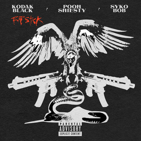 Kodak Black - Rip Stick (Feat. Pooh Shiesty & Sykobob) | Iheart