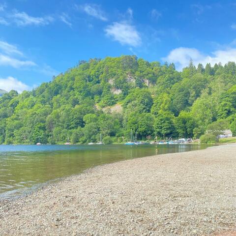 Background Thumbnail