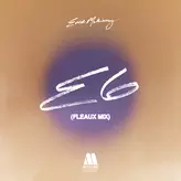 E6 artwork