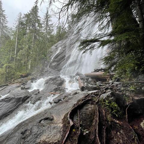 Background Thumbnail