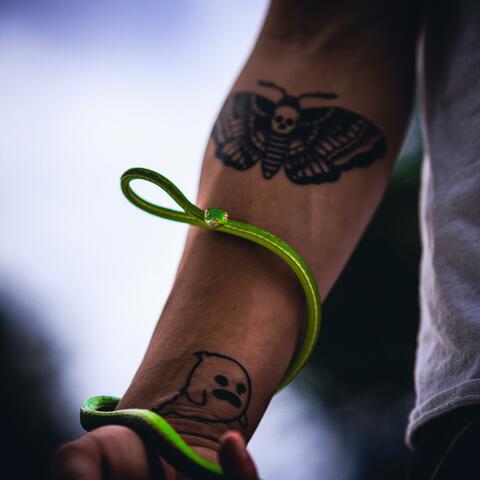 Background Thumbnail