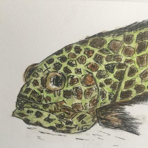 Background Thumbnail