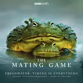 The Mating Game (End Credits) artwork