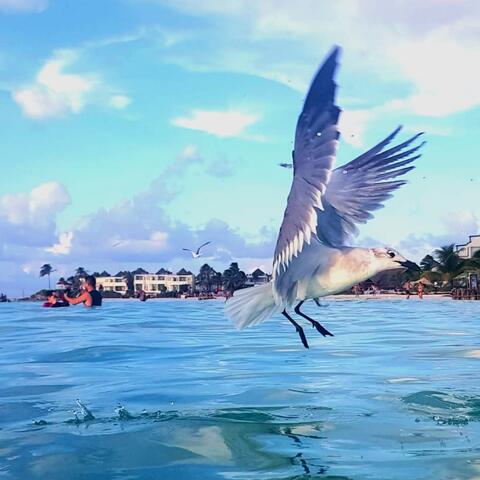 Background Thumbnail