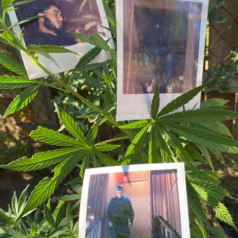 Background Thumbnail