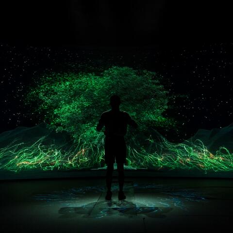 Background Thumbnail