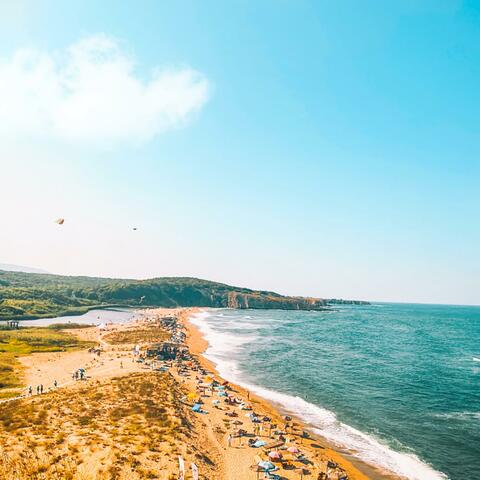 Background Thumbnail