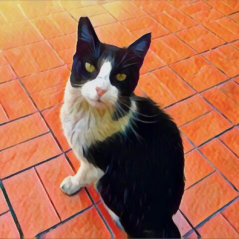 Background Thumbnail