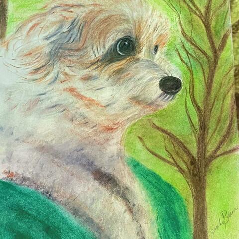 Background Thumbnail