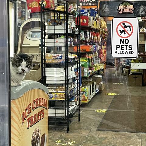 Background Thumbnail