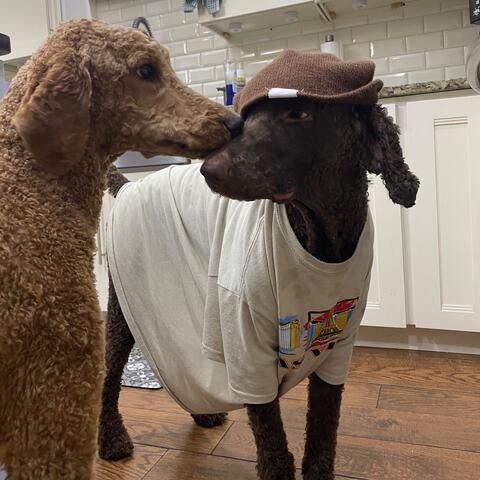 Background Thumbnail