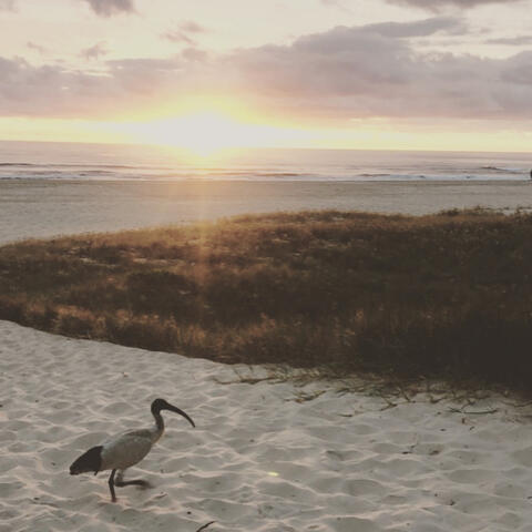 Background Thumbnail