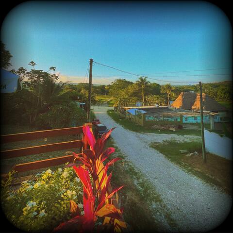 Background Thumbnail