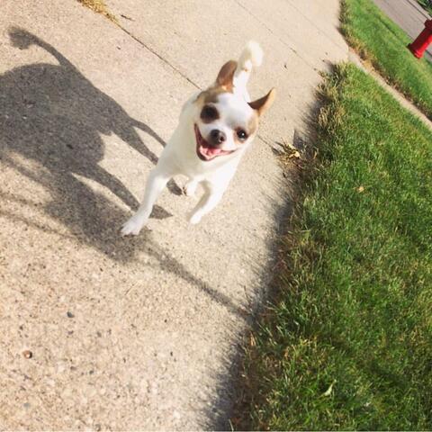 Background Thumbnail