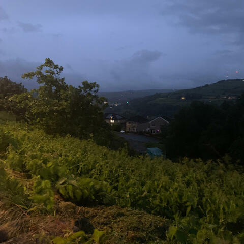 Background Thumbnail