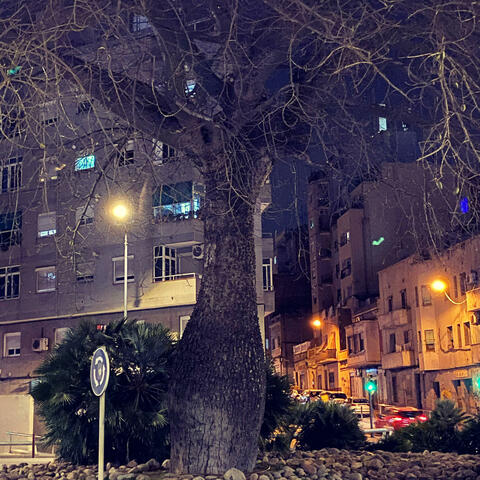 Background Thumbnail