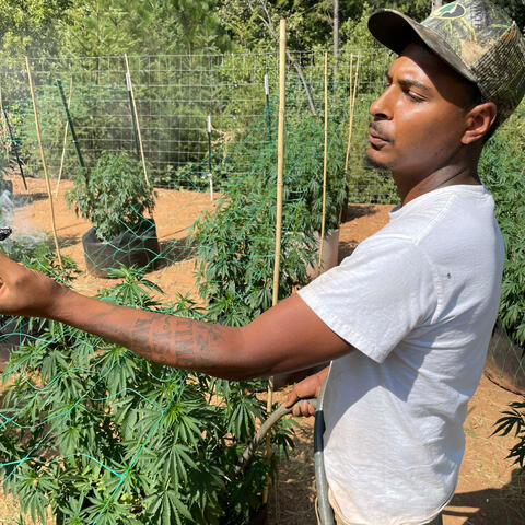 Background Thumbnail