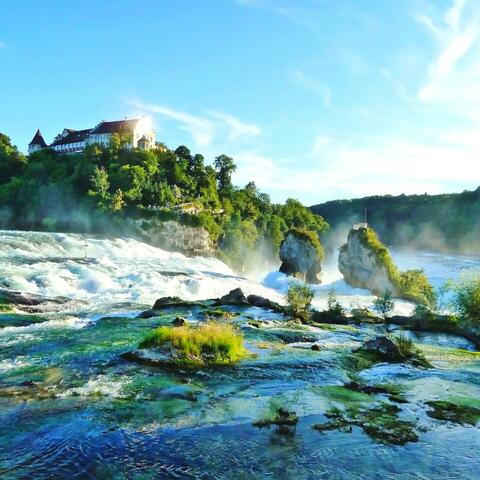 Background Thumbnail