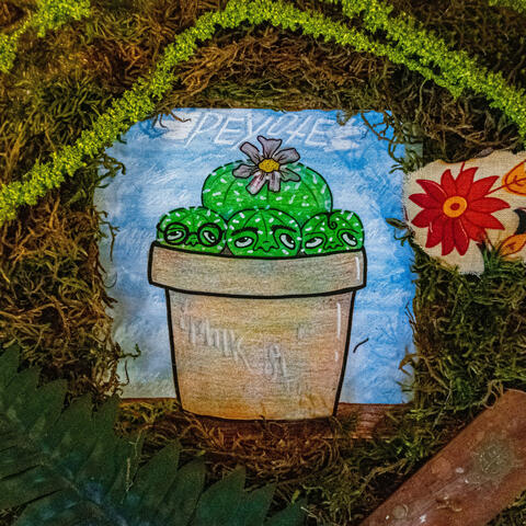 Background Thumbnail