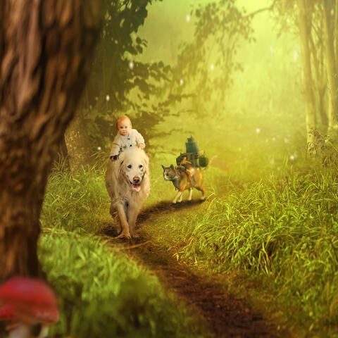 Background Thumbnail