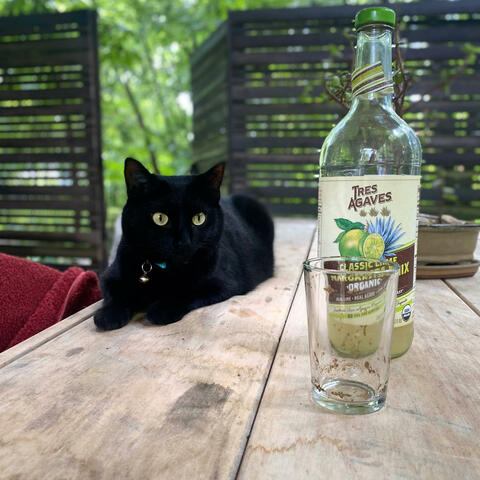 Background Thumbnail