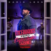 Popurrí de Corridos: Doble Cara, Andamos Trabajando, Los Primos artwork