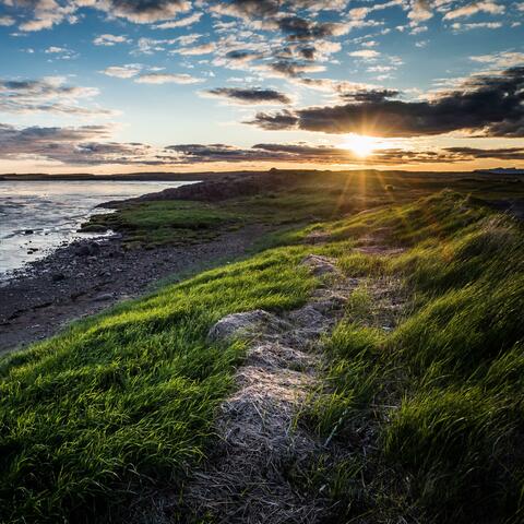 Background Thumbnail