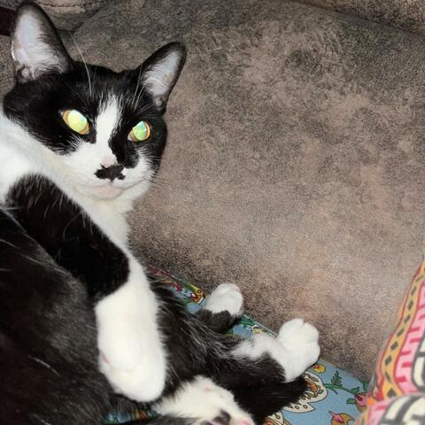 Background Thumbnail