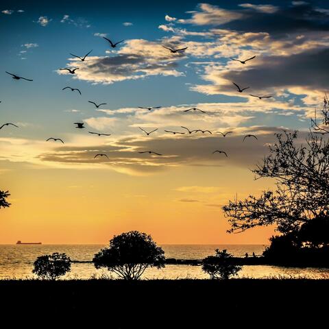 Background Thumbnail