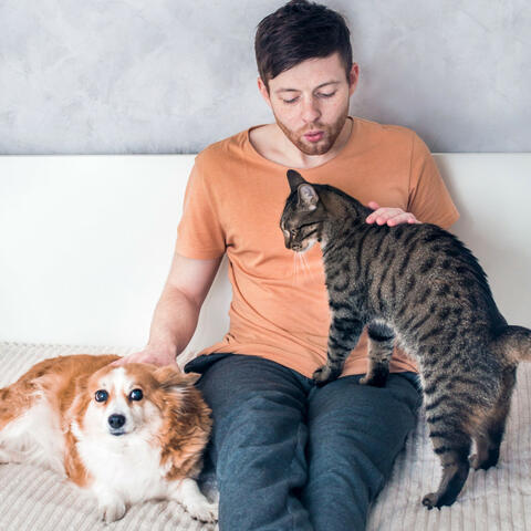 Background Thumbnail