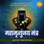 Mahamrityunjay Mantra - Om Tryambakam Yajamahe
