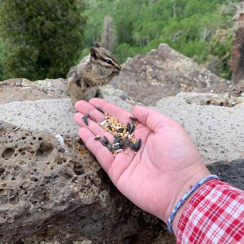 Background Thumbnail