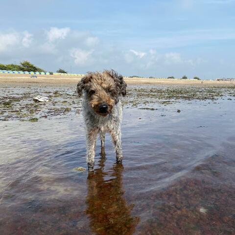 Background Thumbnail