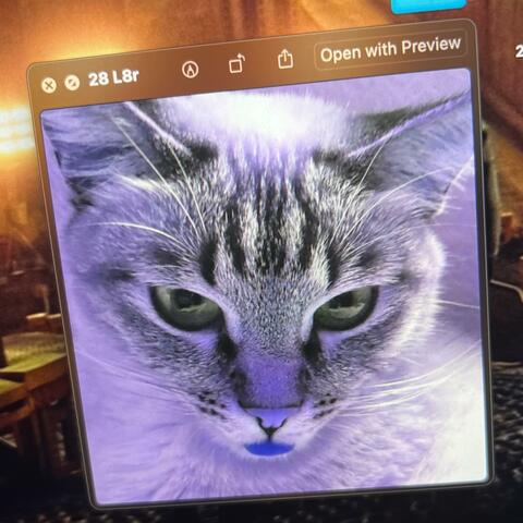 Background Thumbnail