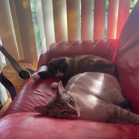 Background Thumbnail