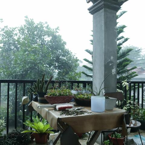 Background Thumbnail