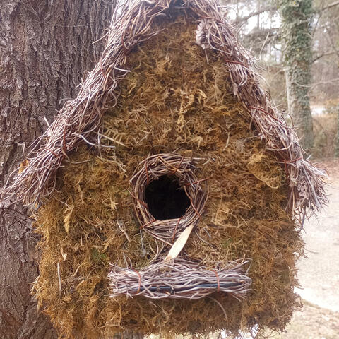 Background Thumbnail